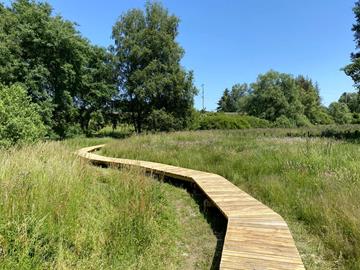 Sonntag, geführte Wanderung, Naturlehrpfad Cornelysmillen